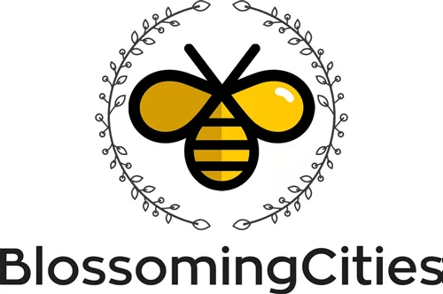 Blossoming cities